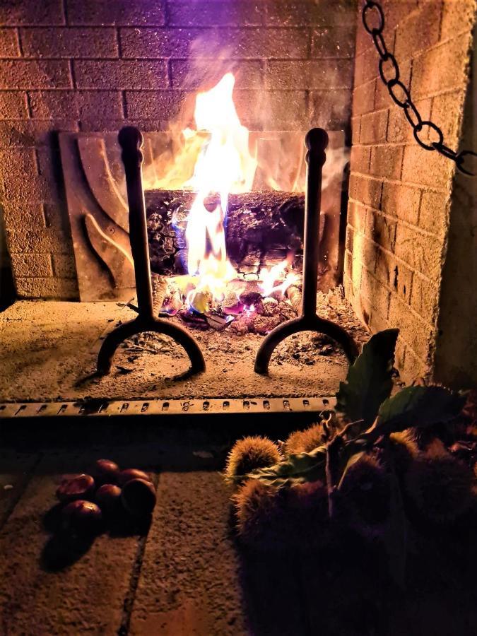Incantevole Casa Sul Fiume, Relax E Natura Ai Piedi Della Alpi Apuane Massa  Dış mekan fotoğraf