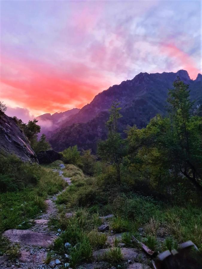 Incantevole Casa Sul Fiume, Relax E Natura Ai Piedi Della Alpi Apuane Massa  Dış mekan fotoğraf